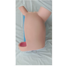 Delivery Dummy Model