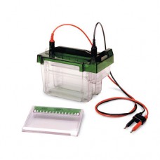 Agarose Gel Electrophoresis