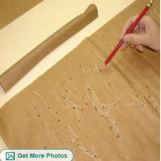 Seed Germinating Testing Paper
