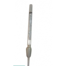 Laboratory Thermometer 