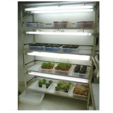 Tissue Culture Rack