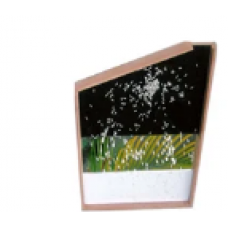 Mirror Plate