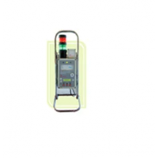 Gamma Area Monitor