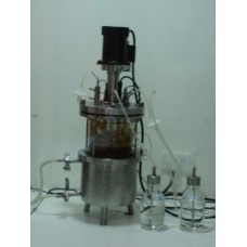 Bench Type Bioreactor