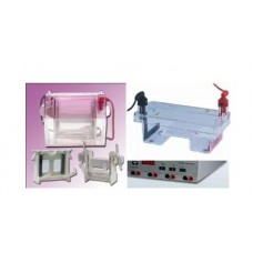 Gel Electrophoresis and Blotter