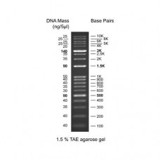 BM011-R500 KPlus DNA Ladder 500ul