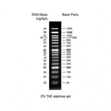 BM012-R500 50 bp DNA Ladder 500ul