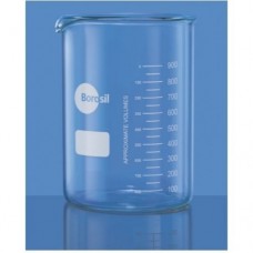 Borosil Glass Beaker