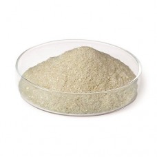 Bovine Serum Albumin Protease Free