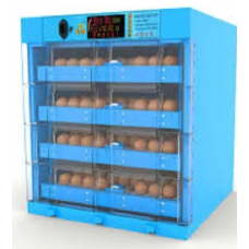 250 egg Incubator