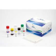 Calbiotech Vitamin D Elisa 25(oh) Kit