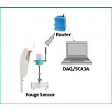 Rouge Monitoring