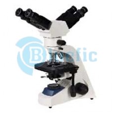 Dual-Head Microscope