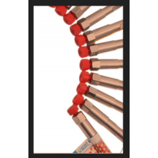 PURITAS 120A C8 HPLC Columns