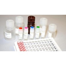 ELISA KITS