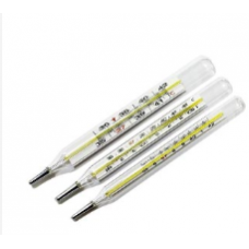 CLINICAL THERMOMETER