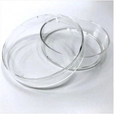 Falcon Cell Culture Dishes 60x15 Mm (petri) (353002)