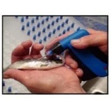 Fish Tags & Its Components