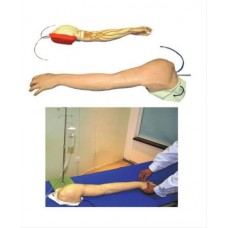 Full Functional Vein Injection Arm