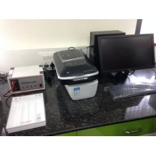 Gel Electrophoresis System