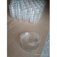 Glass Petri Dish
