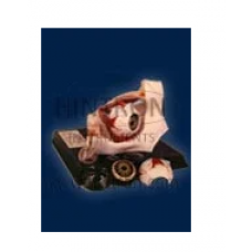 Animal Cell Typical Eye Model