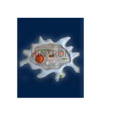 Amoeba Proteus Anatomical Models