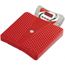 Home Cum Personal Scale