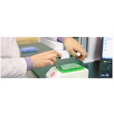 Retisoft Flex Robotic Arm