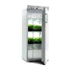 Illuminated Incubator