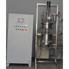In Situ Fermenter