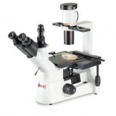 Inverted Microscope