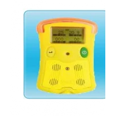 Portable Multi Gas Detector