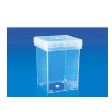 Magenta Box