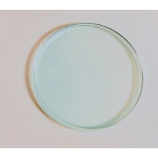 Glass Petri Dish