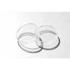 Petri Dish