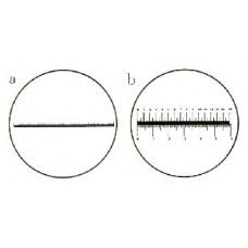 Linear Scale (RTBP001/2)