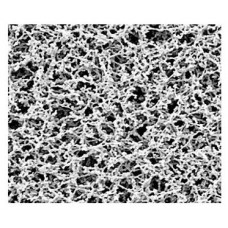 Membrane Filters