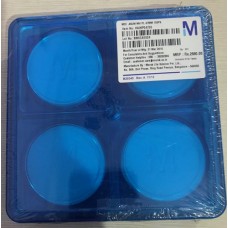 Membrane Filters