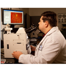 Metallography Services