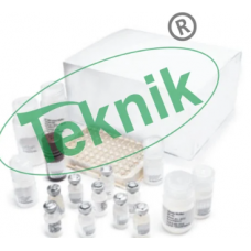 Complete Elisa Kit