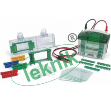 Electrophoresis Kit