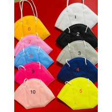 N95 Mask
