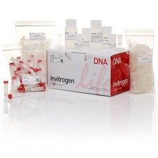 Nucleic Acid Purification Kits