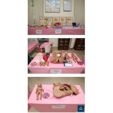 Nursing College Lab Equipment