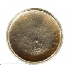 Polyurethane Colour Pigment