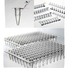 PCR Tube & Plates