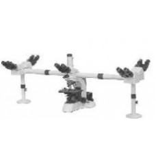 Penta Head Microscope
