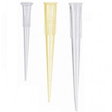 Pipette Tips