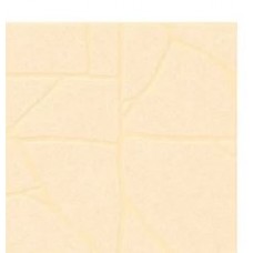 Polished Porcelain Tiles